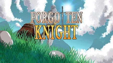 Forgotten Knight 이미지